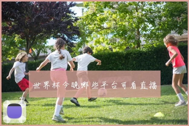 世界杯今晚哪些平台可看直播
