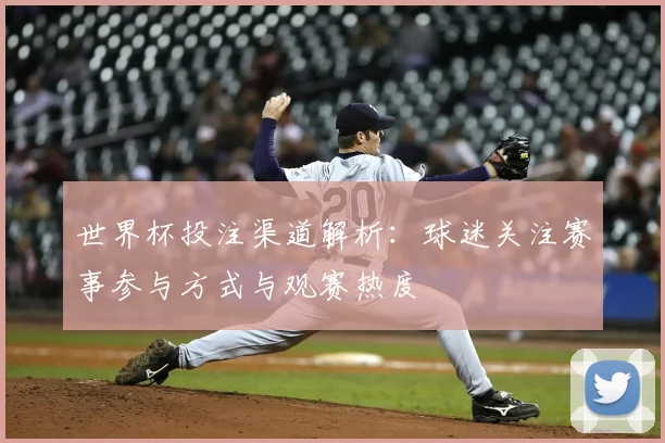 世界杯投注渠道解析：球迷关注赛事参与方式与观赛热度
