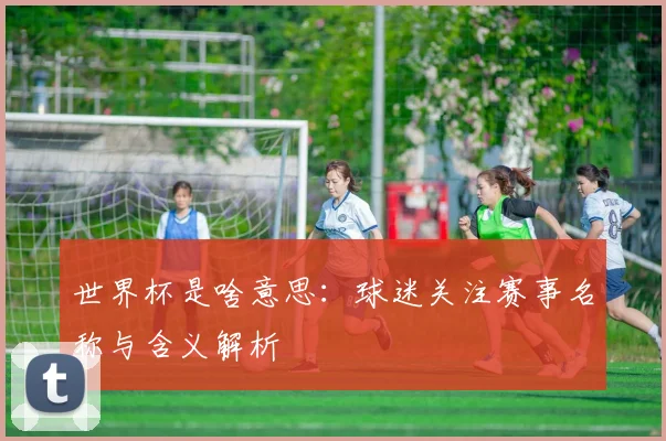 世界杯是啥意思：球迷关注赛事名称与含义解析