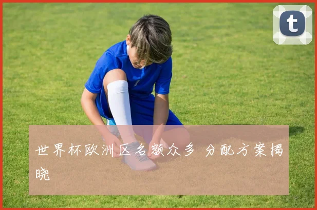 世界杯欧洲区名额众多 分配方案揭晓